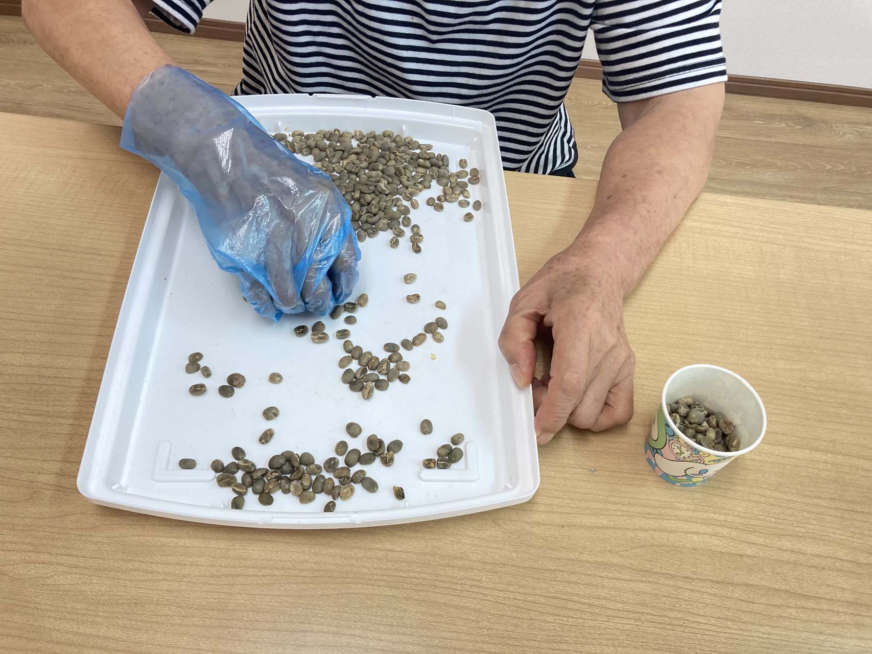 生豆選別作業